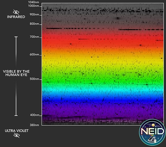 NEID Solarlines